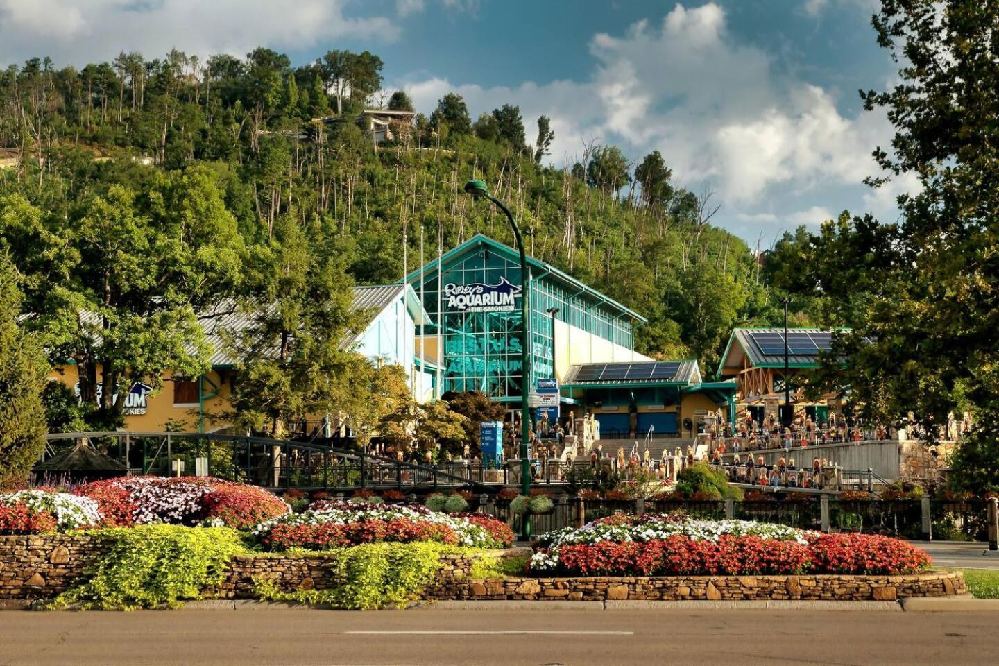 Вілла Views I Mins To Dollywood I Hot Tub I Pool Table Сев'єрвілл Екстер'єр фото