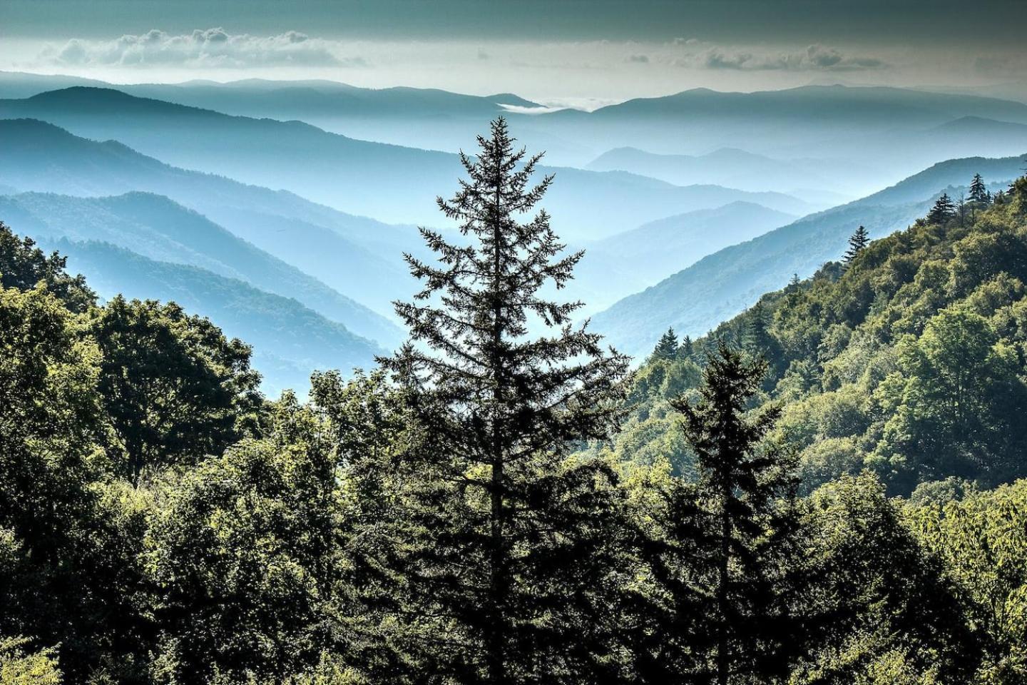 Вілла Views I Mins To Dollywood I Hot Tub I Pool Table Сев'єрвілл Екстер'єр фото