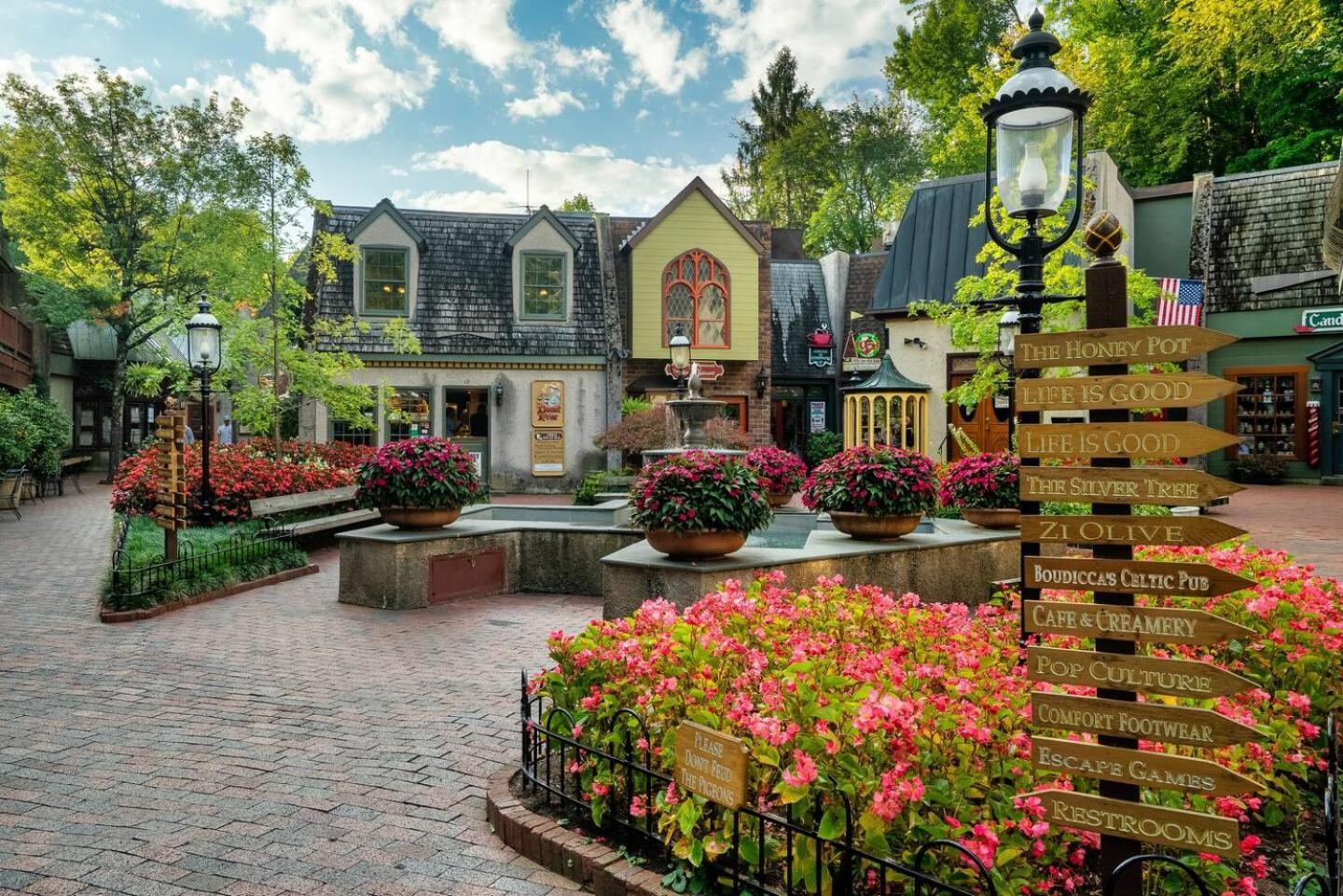 Вілла Views I Mins To Dollywood I Hot Tub I Pool Table Сев'єрвілл Екстер'єр фото
